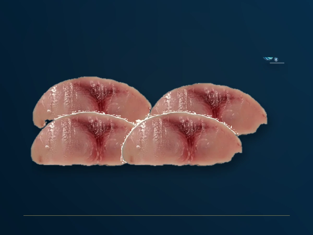 Рыба-меч